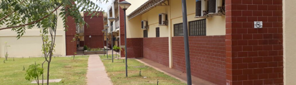 apresentação-banner